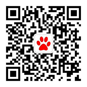 企业微信在线客服